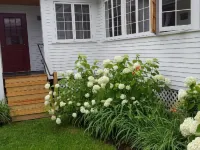 Lareau Farm Inn - parking