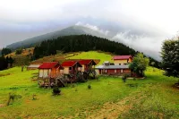 Pilav Dagi Yavuzyilmaz Tesisleri Hotels in 