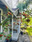 Vineyard View Retreat Pool, Bocce Court & Game Barn Near Armstrong Woods - Private Pools