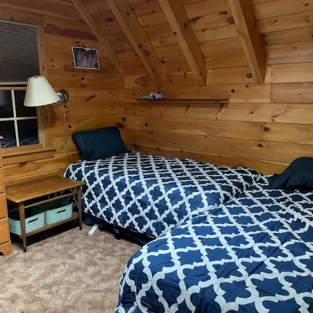 Perfect cozy cabin w/ tree house on 3 acres of woods near skiing, hiking & DWG