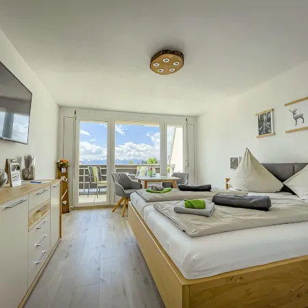 FeWo Längl - modern "Alpenguck" apartment with pool and sauna in the Allgäu