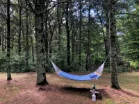 Blue Birch Cabin - Hatfield, WI - Chalets