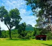 Cottage at Pilot Mountain - 3つ星