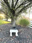 Countryside Inn, Located 9 mi. from the Ark Encounter-Fire pit and Barn games🐮🐮 - chambre d’hôtes