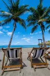 Swisscocobeach - Beach