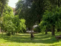 La Dimora Dell'Artista - balneario