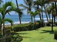 The Backyard Beachfront Hotel - que admiten mascotas