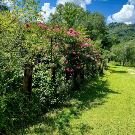 BEAUTIFUL DIMORA CIVITA OF BAGNOREGIO -3 bedrooms 2 bathrooms-family-garden-whole house