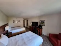 The Hotel Orange - Pet friendly