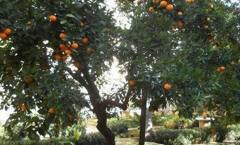 B&b l'Orangerie d'Epoque