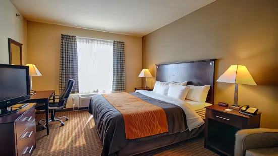 Comfort Inn & Suites Near Lake Lewisville