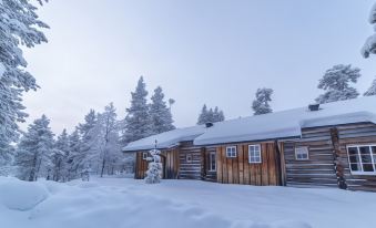 Kuukkeli Apartments Tokka