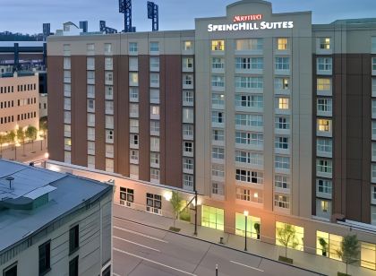 SpringHill Suites Pittsburgh North Shore