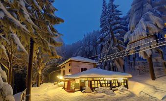 Rifugio del Firenze Ninfa