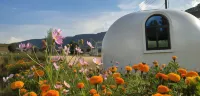 Garr Starry Sky Camp
