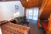 New Haven Motel Hotels in Auckland