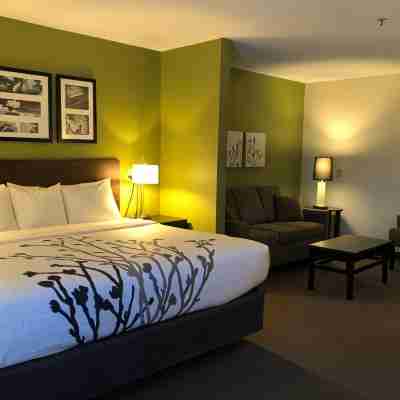 SureStay by Best Western Roseburg Rooms