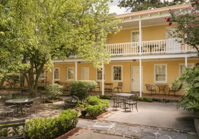 The Jasmine House