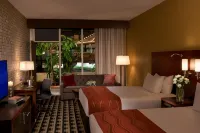 M Hotel Buffalo - Wifi