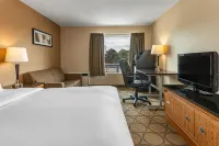 Comfort Inn Hotels in Orillia