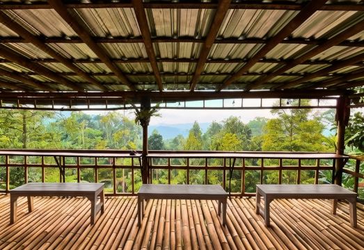 산다 에코 캐빈의 자연 속 모습