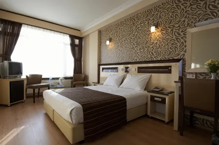 Soyic Hotel Отели в г. Эскишехир