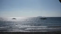 Wellbeach Dive Resort - Beach