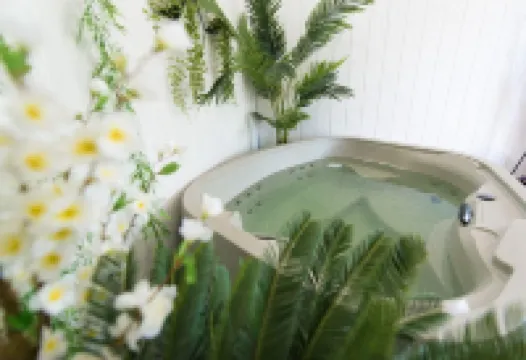 萊皮蒂弗洛客房