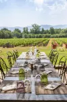 Château Saint Roux le Luc-Le Cannet des Maures فنادق في Le Luc