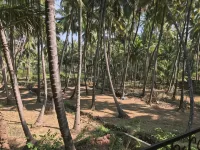 All Seasons Guest House Hotel a Bogmolo