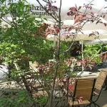 Schneiderlein Hotel Отели в г. Калленберг