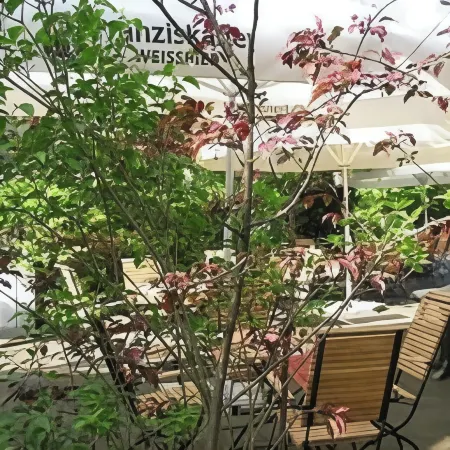 Schneiderlein Hotel Отели в г. Лимбах-Оберфрона