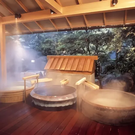Awara Onsen Seifuso