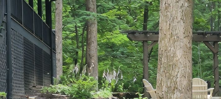 Welcome to mountain retreat in the tranquil beauty of Rabun County! Hotels in Rabun County
