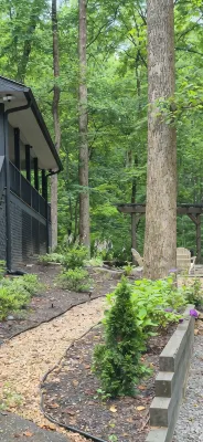Welcome to mountain retreat in the tranquil beauty of Rabun County! - 4-Star