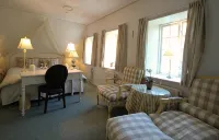 Sauntehus Castle Hotel - Wifi