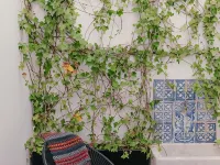 Casa do Gadanha Hotels in Estremoz