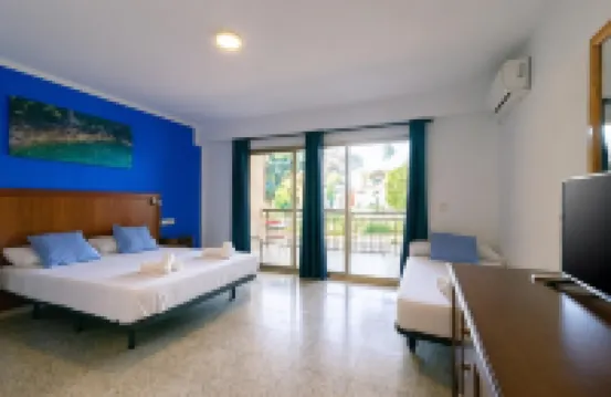 Apartamentos Palasiet