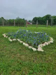 Country living in new 2bdrm/2bth farmhouse in lovely Chappell Hill with WiFi, AC - Homestays