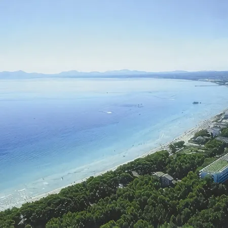 Prinsotel la Dorada -