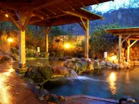 Hotel Zuiho - Hot Springs