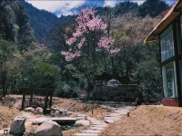 Donglashan · Zuiyun Stream 바오싱 호텔