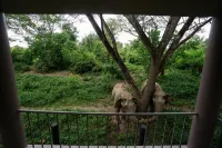 I love phants Lodge - วิว