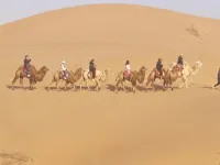 Brilliant Galaxy Desert Stargazing Homestay