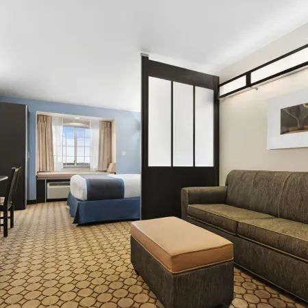 Microtel Inn & Suites by Wyndham San Angelo