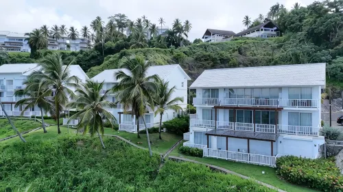 Wake Up At Paradise