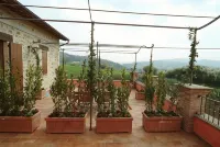 Casale Le Selvette -  case vacanza in affitto
