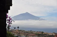 Comfortable home with a beautiful blooming garden and a view of the Atlantic - Uima-altaat