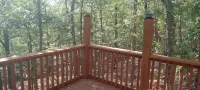 HICKORY HIDEOUTThe cabin is surrounded by a large area of trees for privacy