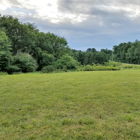 Roomy Remote Cabin near Kentucky Lake